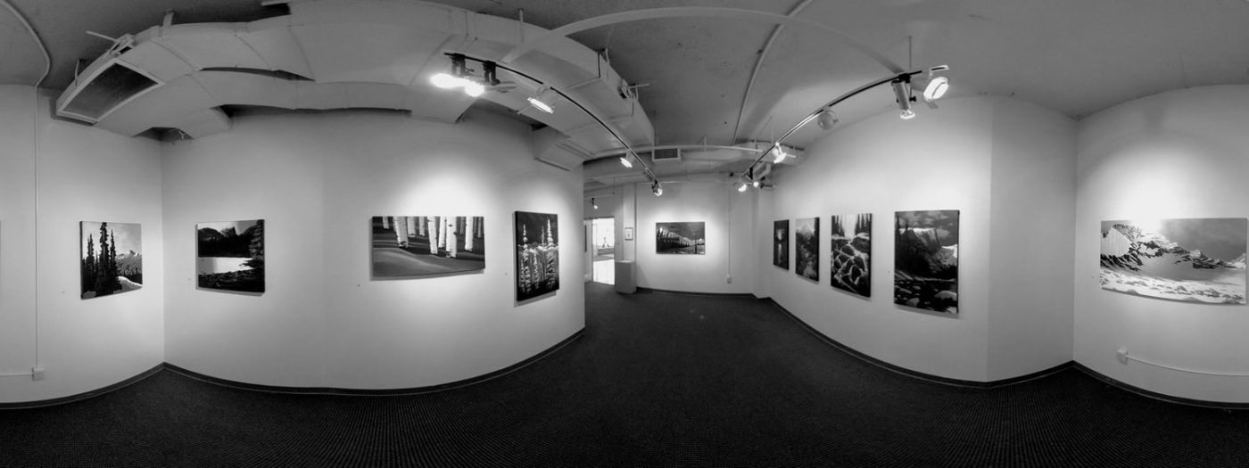 Hatfield art gallery