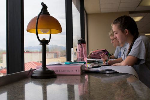 students studying in Nielsen Library