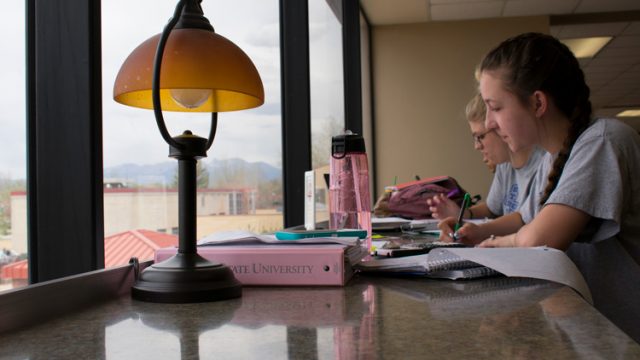 students studying in Nielsen Library