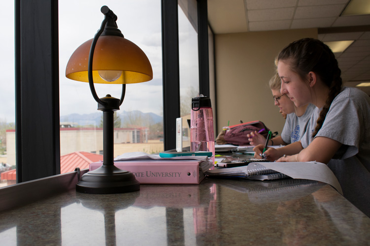 students studying in Nielsen Library