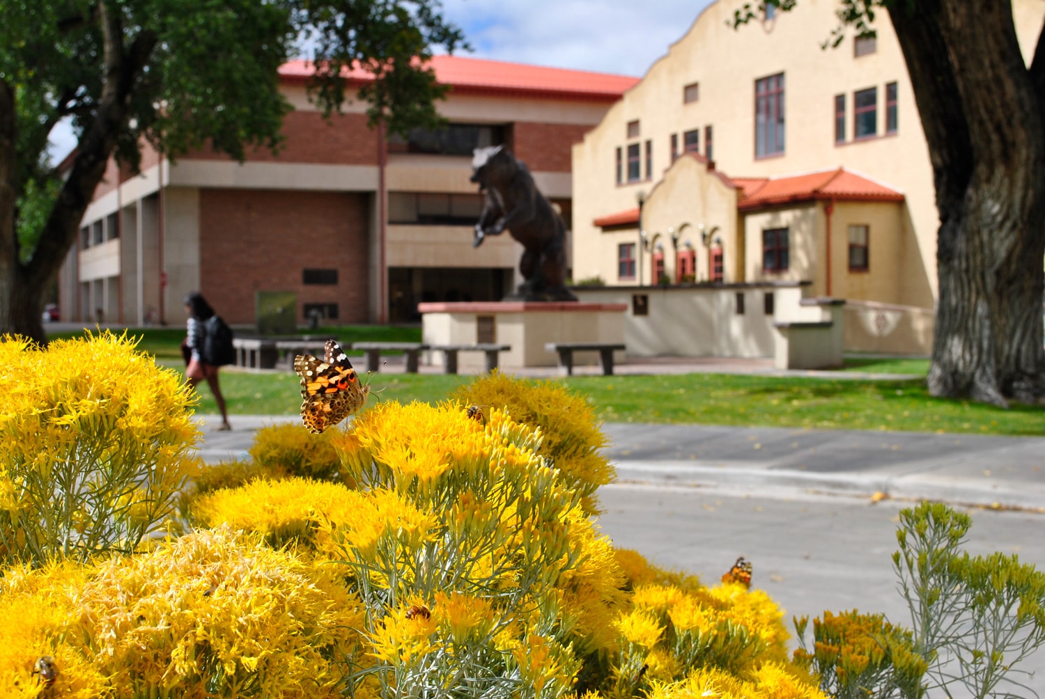 Admissions - Adams State University