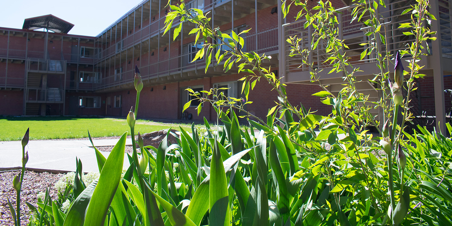 HighRise Apartments Housing and Residence Life Adams State University