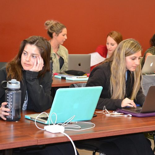 nursing students studying at laptops