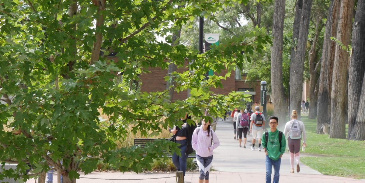 Adams State students walking on path between classes.