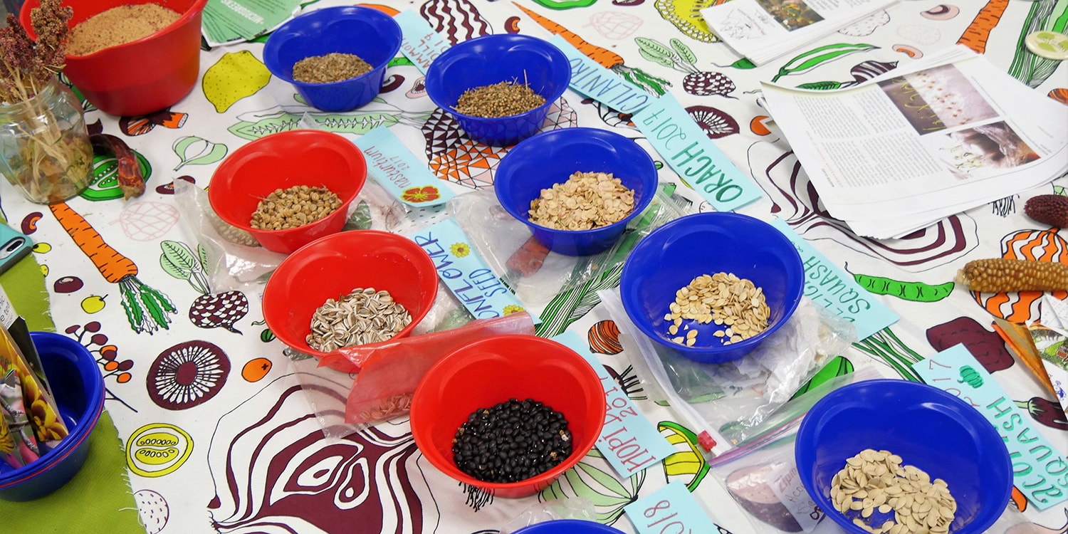 collection of seeds in brightly colored bowls