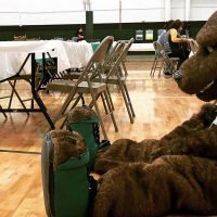 toddler faces ASU mascot Boomer