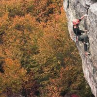 Rock climber with fall trees