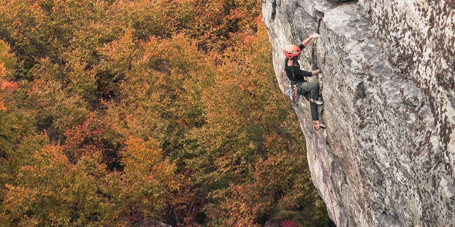 Rock climber with fall trees