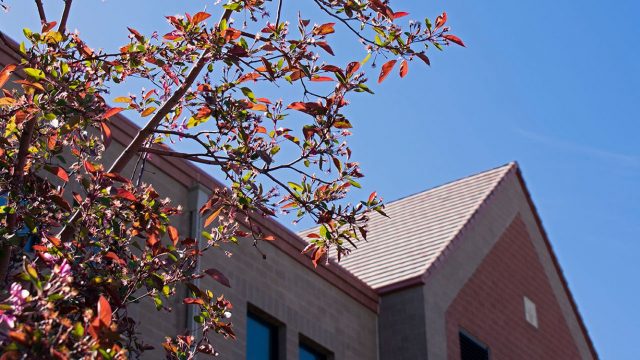 Porter Hall with spring blooms