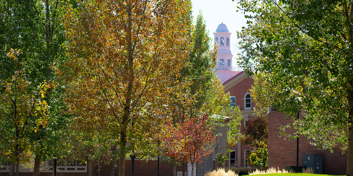 ASU Fall Foliage on Campus