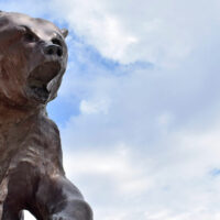 ASU Mascot Grizzly Old Mose