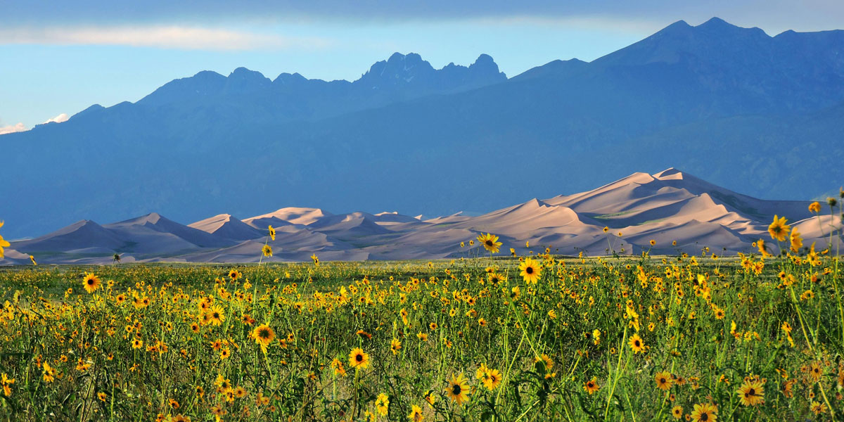 Great Sand Dunes National Park and Preserve
