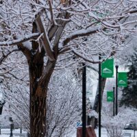 Snowy Adams State campus
