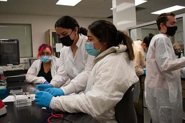 Marlene Garcia Araiza assists in genetics and cell biology lab