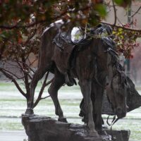Wind and Rain by William Moyers