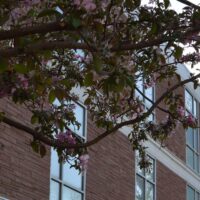 Adams State McDaniel Hall