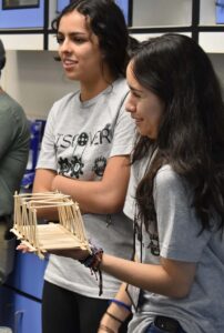 students building bridges out of popsicle sticks