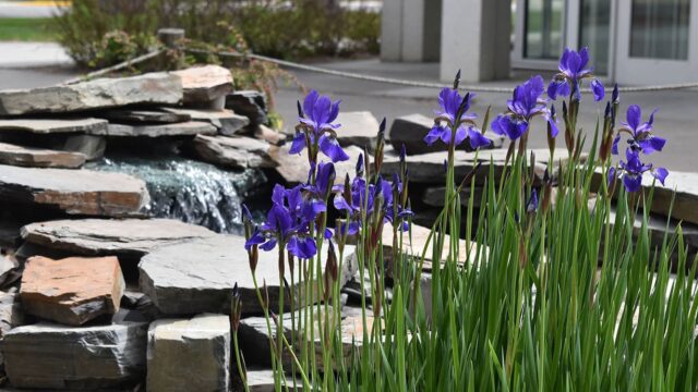 Adams State University Japanese/American Memorial Garden