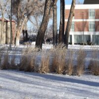 Adams State University McDaniel Hall