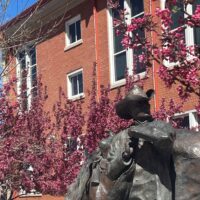 Adams State University Richardson Hall