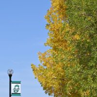 Adams State University Campus fall colors