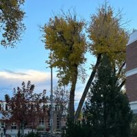 Adams State University south campus