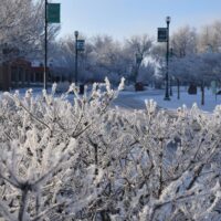 Adams State University Winter Scene North Campus