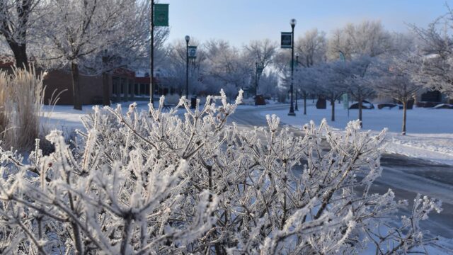 Adams State University Winter Scene North Campus