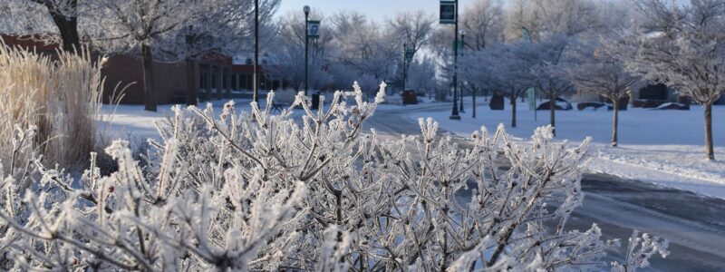 Adams State University Winter Scene North Campus