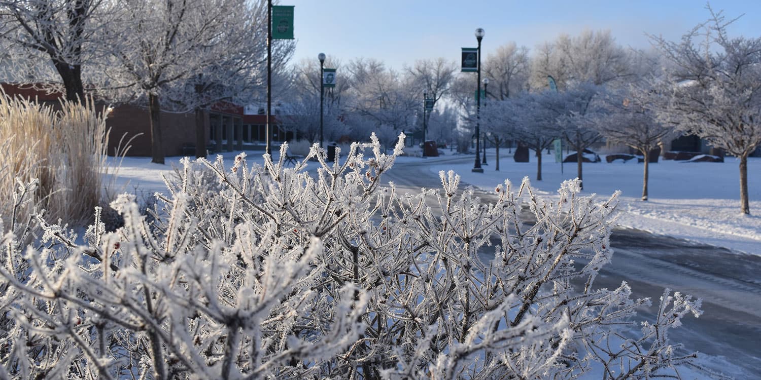Adams State University Winter Scene North Campus