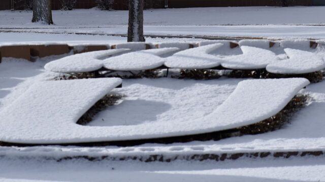 Adams State University U Paw in snow