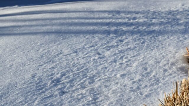 Adams State University Campus grounds with snow and dormant plants