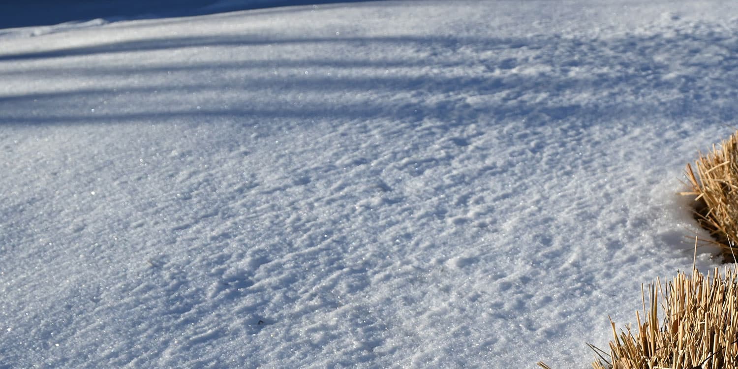 Adams State University Campus grounds with snow and dormant plants