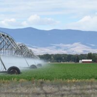 San Luis Valley Colorado Potato Farm with sprinkler