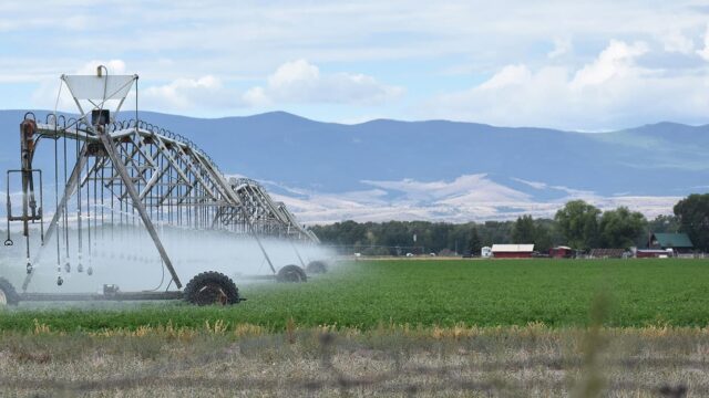 San Luis Valley Colorado Potato Farm with sprinkler