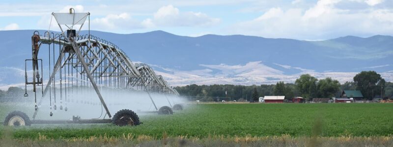 San Luis Valley Colorado Potato Farm with sprinkler