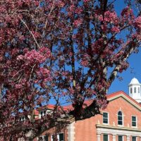 Adams State University Richardson Hall with crabapple tree in bloom