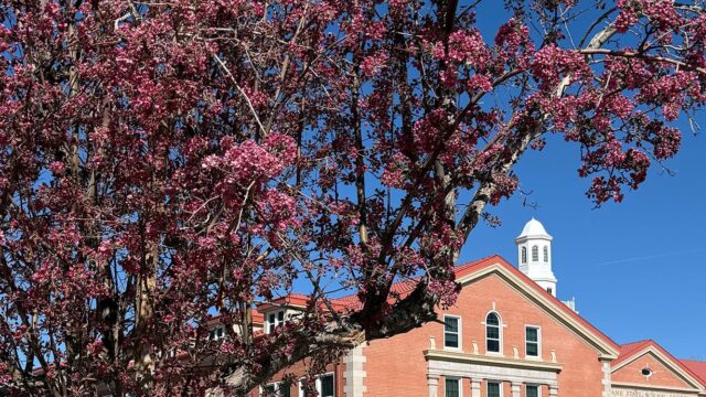 Adams State University Richardson Hall with crabapple tree in bloom