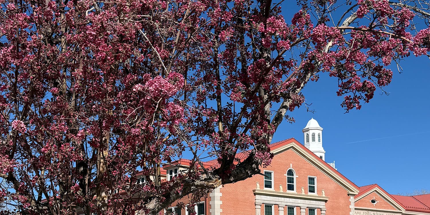 Adams State University Richardson Hall with crabapple tree in bloom