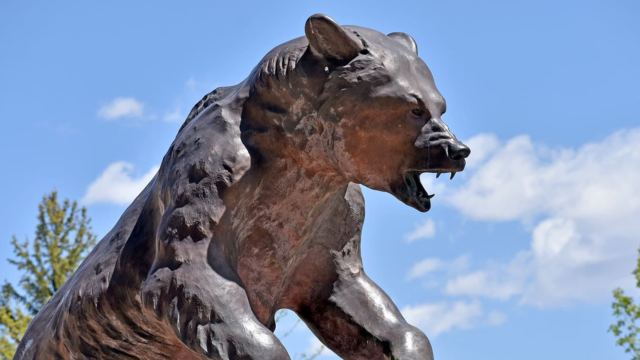 Adams State University Mascot Old Mose Sculpture