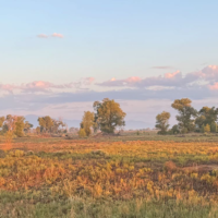 San Luis Valley Riparian Park