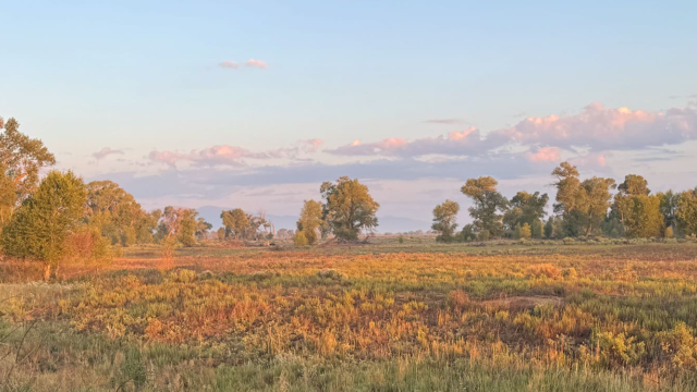 San Luis Valley Riparian Park