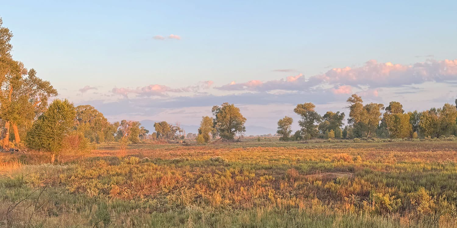 San Luis Valley Riparian Park