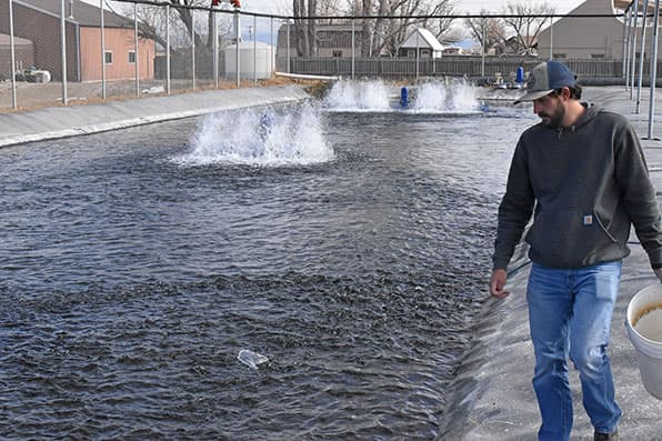 Adams State University fish biology internship Wyatt Depriest feeding fish at hatchery